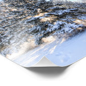 Rime Frost in Yorkton SK Fotodruck (Ecke)