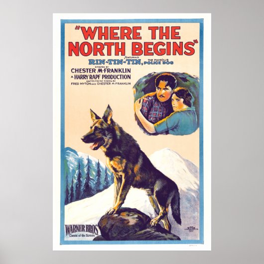 Rin Tin Tin - Wo der Norden beginnt Poster (Vorne)
