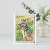 Rin Tin Tribute Postkarte (Stehend Vorderseite)