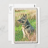 Rin Tin Tribute Postkarte (Vorne/Hinten)