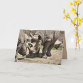 Rinamic Duo Karte (Gelbe Blume)