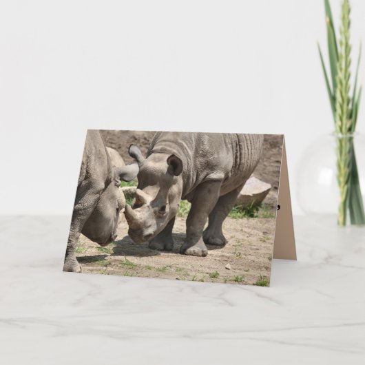 Rinamic Duo Karte (Vorderseite)