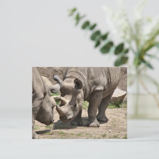 Rinamic Duo Postkarte (Stehend Vorderseite)