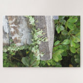 Rincón de Jardín con Hojas de Hiedra en Pilar Puzzle (Horizontal)