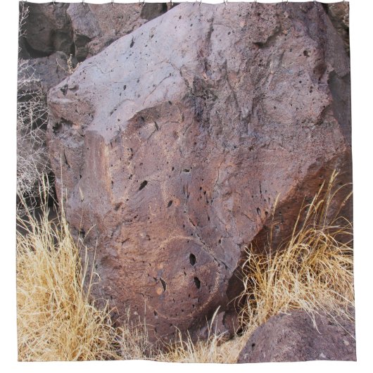 Rinconada Canyon Petroglyph Duschvorhang (Vorderseite)