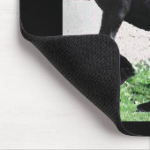 Rind-Felsen Mousepad (Ecke)