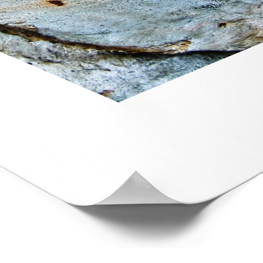 Rinde Abstrakt Poster (Ecke)