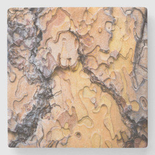 Rinde der Ponderosa-Kiefer, Washington Steinuntersetzer