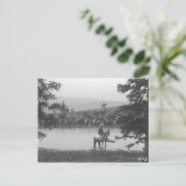 Rinder an einem Teich mit zwei Cowboys. Postkarte (Stehend Vorderseite)