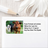 Rinder auf dem Feld (Insitu)