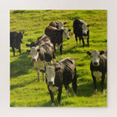 Rinder auf dem grünen Gras Puzzle (Vertikal)