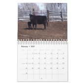 Rinder auf der Ranch Kalender (Feb 2027)