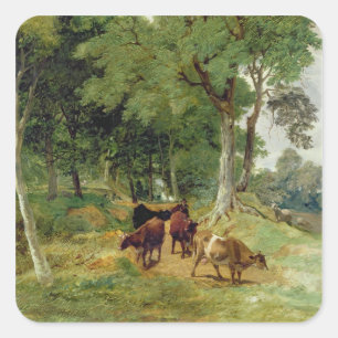 Rinder auf Devonshire Lane Quadratischer Aufkleber