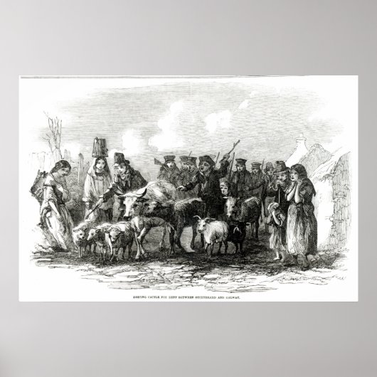 Rinder für Rent Poster (Vorne)