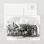 Rinder für Rent Postkarte (Vorne/Hinten)