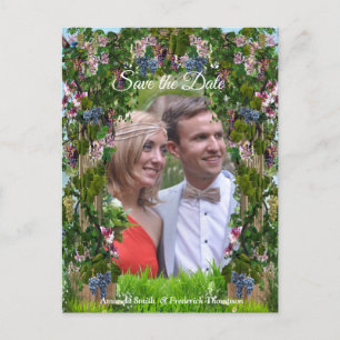 Rinder, Honeysuckles und Hummingbirds Ankündigungspostkarte