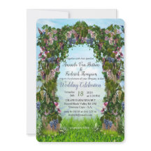 Rinder, Honeysuckles und Hummingbirds