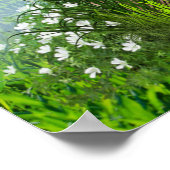 Rinder, Honeysuckles und Hummingbirds Poster (Ecke)