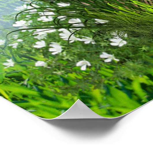 Rinder, Honeysuckles und Hummingbirds Poster (Ecke)