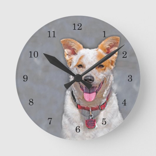 Rinder-Hund Runde Wanduhr (Vorderseite)