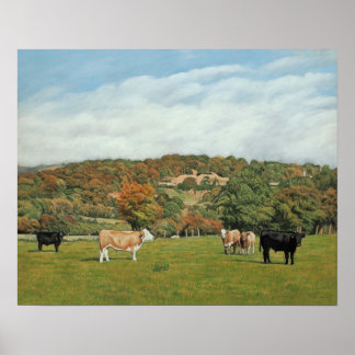 Rinder in der Nähe von Pentyrch Poster