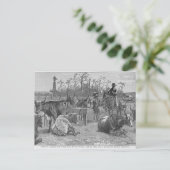 Rinder in Kansas Corral Postkarte (Stehend Vorderseite)