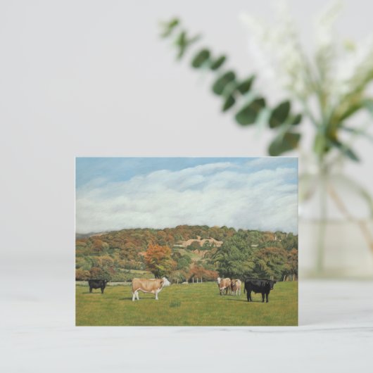 Rinder in Pentyron Postkarte (Stehend Vorderseite)