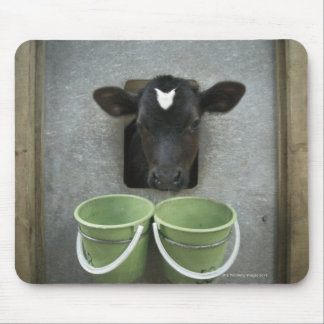 Rinder, individueller Pen Mousepad