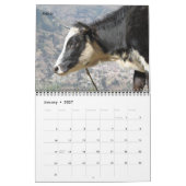 Rinder Kalender (Jan 2027)
