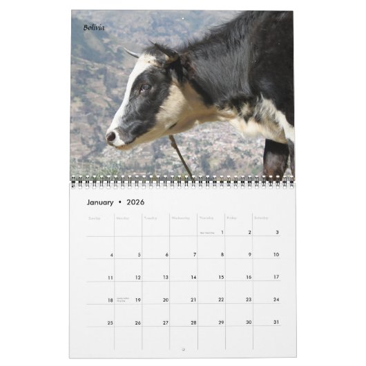Rinder Kalender (Jan 2026)