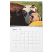 Rinder Kalender (Feb 2027)