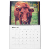 Rinder Kalender (Mär 2027)