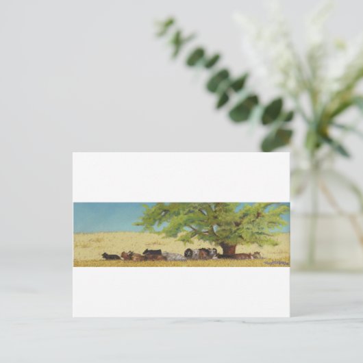 Rinder, Kuh Postkarte (Stehend Vorderseite)