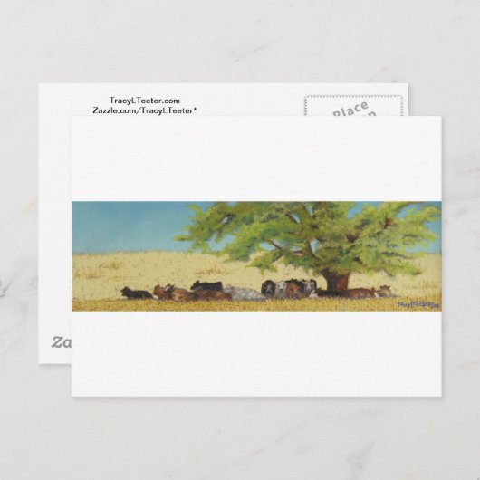 Rinder, Kuh Postkarte (Vorne/Hinten)