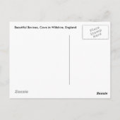 Rinder, Kühe in Wiltshire, England Postkarte (Rückseite)