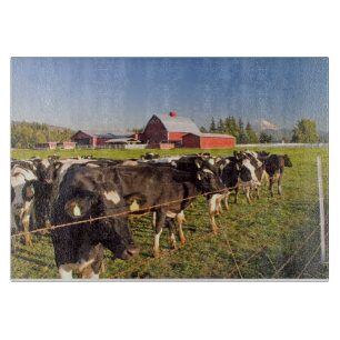 Rinder mit rotem Stall und Berg Rainier Schneidebrett