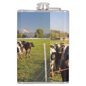 Rinder mit rotem Stall und Rainier-Zweitone-Co Flachmann (Rückseite)