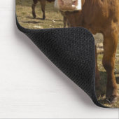 Rinder Mousepad (Ecke)