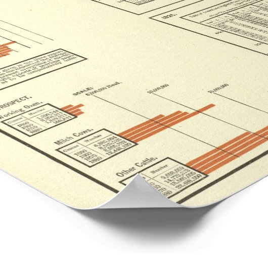 Rinder Poster (Ecke)