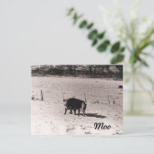 Rinder Postkarte (Stehend Vorderseite)