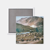 Rinder Ranch, Colorado, 1899 (Foto) Magnet (Vorderseite/Rückseite)