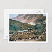 Rinder Ranch, Colorado, 1899 (Foto) Postkarte (Vorne/Hinten)
