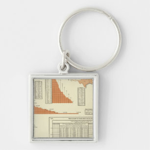 Rinder Schlüsselanhänger