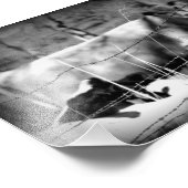 Rinder schwarz und weiß fotodruck (Ecke)