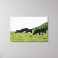 Rinder Schwarzer Winkel Wrapped Canvas