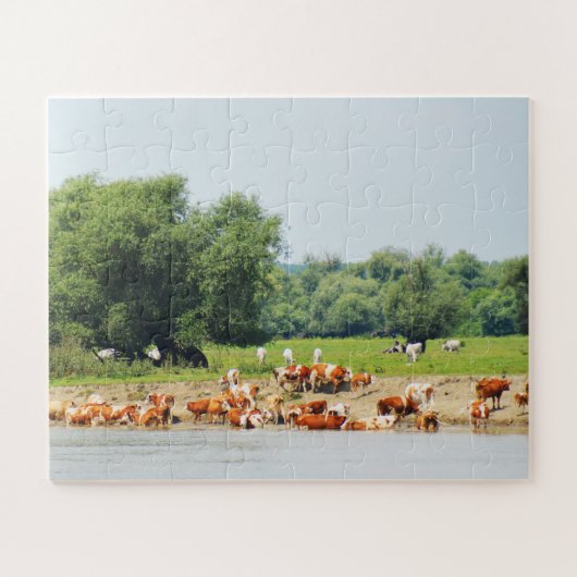 Rinder und Donau Puzzle (Horizontal)