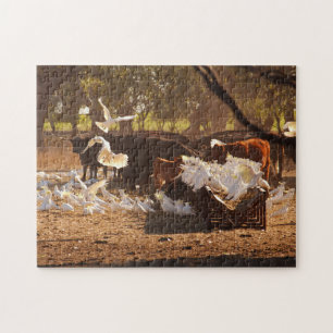 Rinder und Kakados in Australien Bush Puzzle