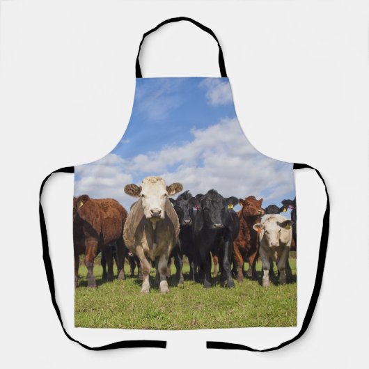 Rinder vor Ort Schürze (Vorderseite)