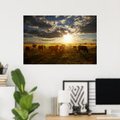 Rinder vor Ort, Sonnenuntergang Poster (Heimbüro)