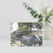 Rinderantrieb Nr. 10 Postkarte (Stehend Vorderseite)